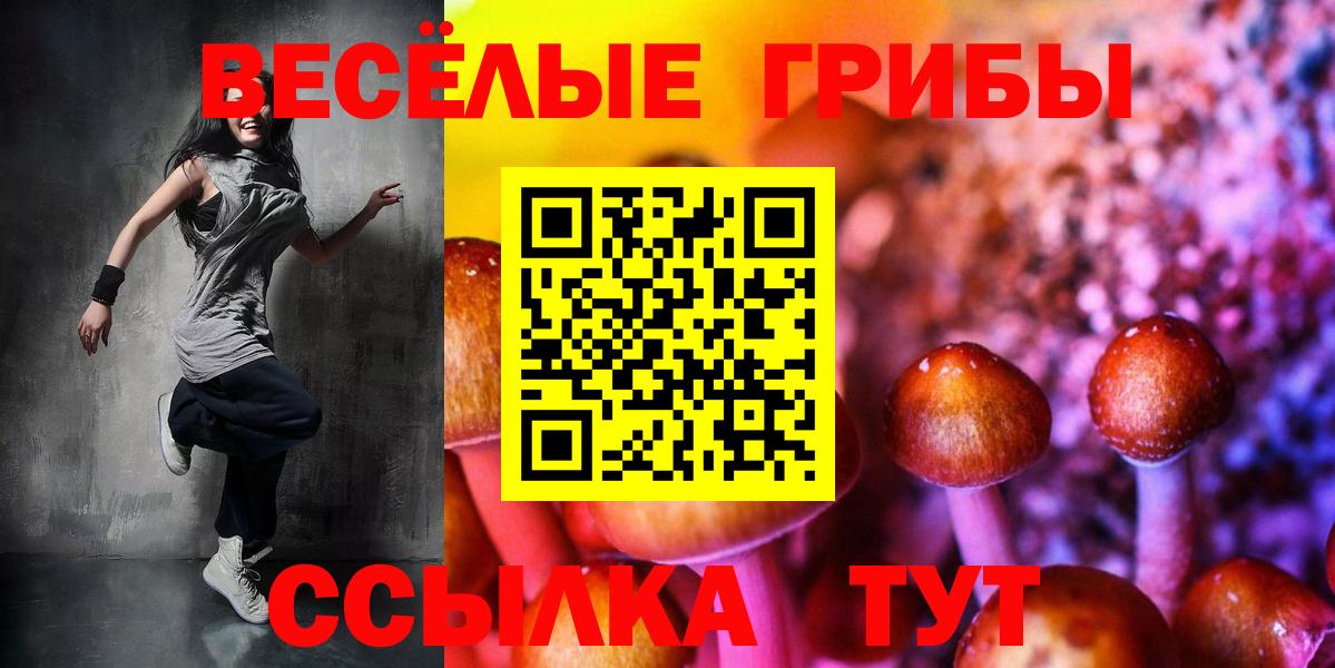 Галлюциногенные грибы Psilocybe  Вход с VPN  Зеленогорск 