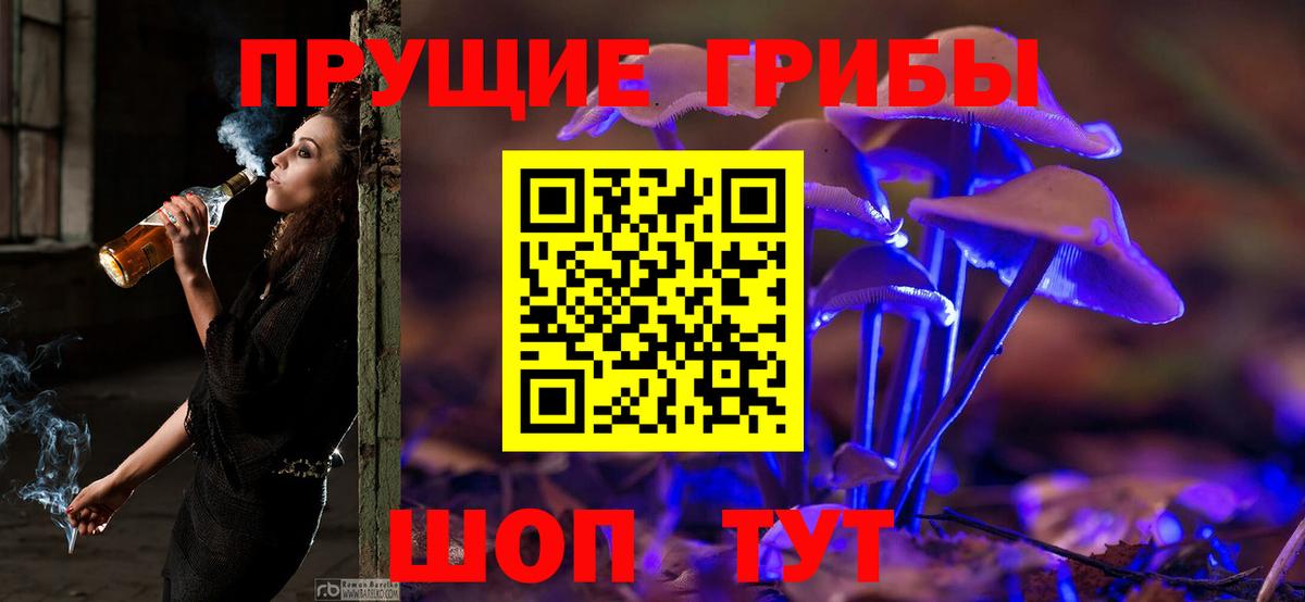 Псилоцибиновые грибы Cubensis Зеленогорск